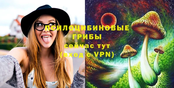 прущие грибы Абдулино