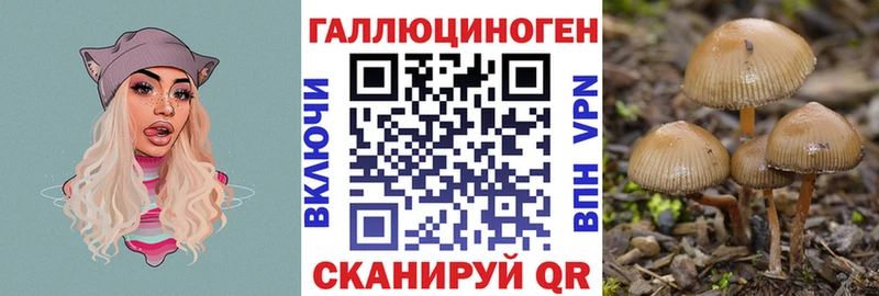 Галлюциногенные грибы Psilocybine cubensis  купить наркотики сайты  Невельск 